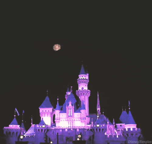 Grown ass adults who are super into Disneyland: I worry about u.