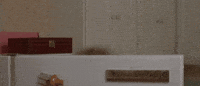 200w.gif