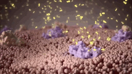 Case Digestion GIF - Find & Share on GIPHY