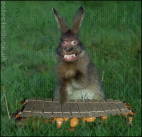New trending GIF tagged bunny easter via http… | Trending Gifs