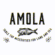 AmolaSalt