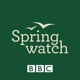 bbcspringwatch
