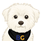 BRIDGEGOOD