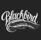 Blackbirdmelbourne