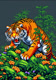 denmarktigers