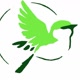 FlytoDigital