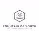 FountainOfYouth