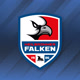 Heilbronner_Falken