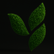 Herbalife_Nederland