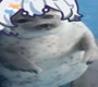 HiraokaTen
