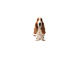 HushPuppiesPK