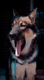 Kriathehowl