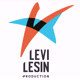 LeviLesinProductions