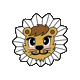 machvisionsports