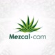 Mezcalcom