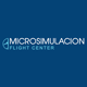 Microsimulacion