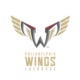 NLLWings Avatar