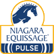 Niagaraequissage