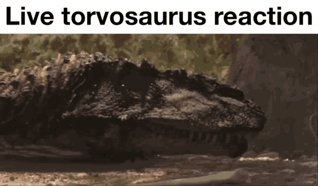 Giphy profile picture for @Paleontologist