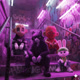 RITAVERSE