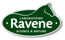 RaveneFR