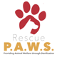 RescuePawsThailand