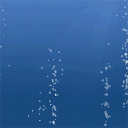 Beluga - Free animated GIF - PicMix