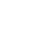 Snapskin