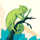Social Chameleon Book Avatar