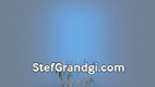 StefGrandgi