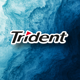 Trident_MX