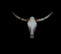 VierFuerTexasGmbH