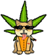 ShibaBoysEth