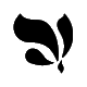 YosyFinolOficial