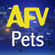AFV Pets Avatar
