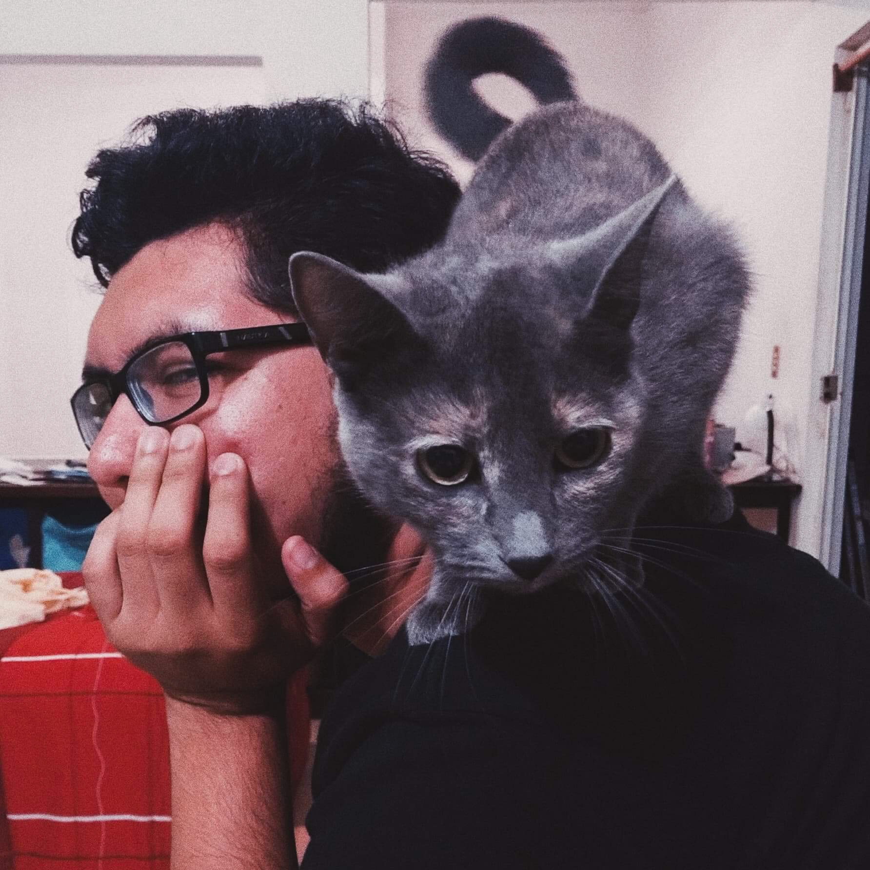 Giphy profile picture for @Jalemogo