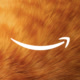 Amazon Pets Avatar