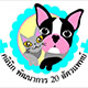 Giphy profile picture for @animals