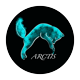 arctisdesign