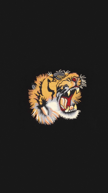 Giphy profile picture for @casket