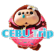 cebutrip