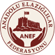 elaziglilarfederasyonu
