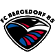 fcbergedorf85