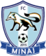FC Minaj Avatar