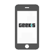 geeks-ltd