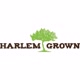 harlemgrown