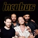 Incubus Avatar