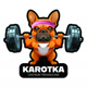 karotka_stargard