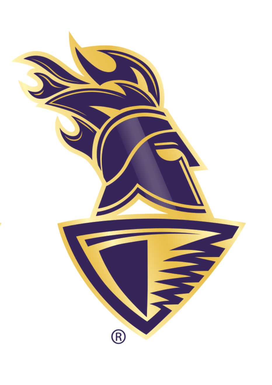 Kolkata Knight Riders, KKR Flag Waves Isolated in Plain and Bump Texture,  with Transparent Background, 3D Rendering 23398733 PNG