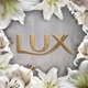 lux_southafrica